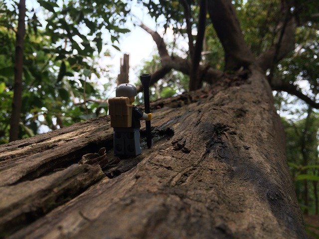 Tree Lego Forest 무료 다운로드 - 김프 온라인 이미지 편집기로 편집할 수 있는 무료 사진 또는 그림