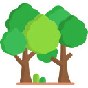 Tree Lined Country Road  screen for extension Chrome web store in OffiDocs Chromium