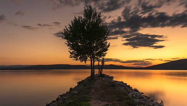 Free download tree lonely long exposure filter nd free picture to be edited with GIMP free online image editor