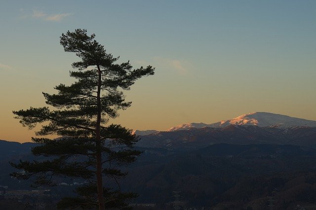 Безкоштовно завантажте Tree Mountain Sunset — безкоштовну фотографію чи зображення для редагування за допомогою онлайн-редактора зображень GIMP