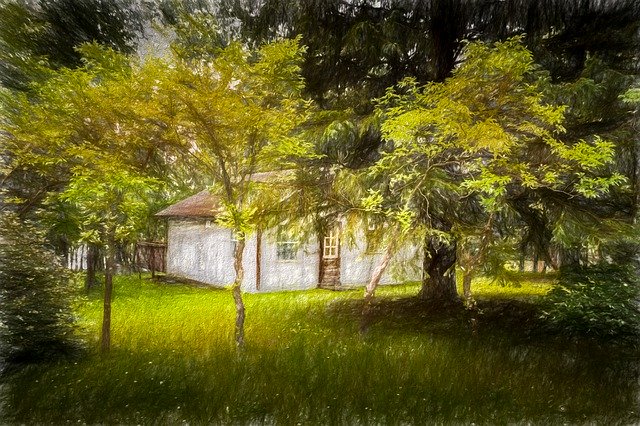 Free download Tree Nature Landscape -  free free photo or picture to be edited with GIMP online image editor