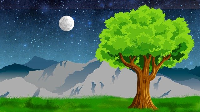 ดาวน์โหลดฟรี Tree Night Stars - ภาพประกอบฟรีที่จะแก้ไขด้วย GIMP โปรแกรมแก้ไขรูปภาพออนไลน์ฟรี