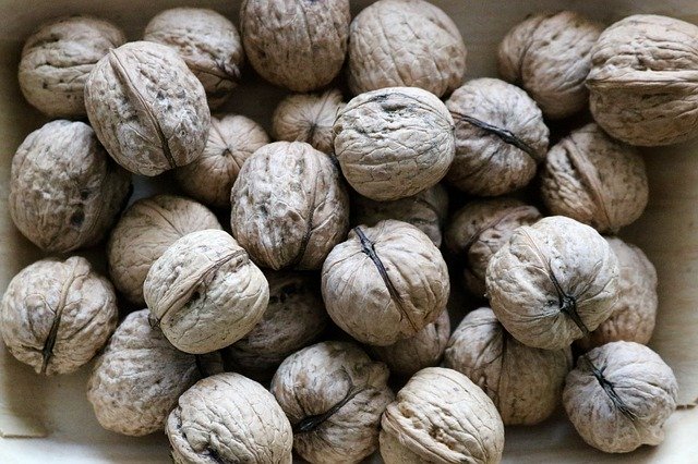 دانلود رایگان Tree Nuts Eat - عکس یا تصویر رایگان برای ویرایش با ویرایشگر تصویر آنلاین GIMP