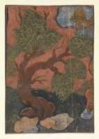 Free download Tree on a River Bank free photo or picture to be edited with GIMP online image editor