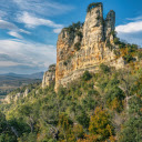 Tree on top of mountain  screen for extension Chrome web store in OffiDocs Chromium