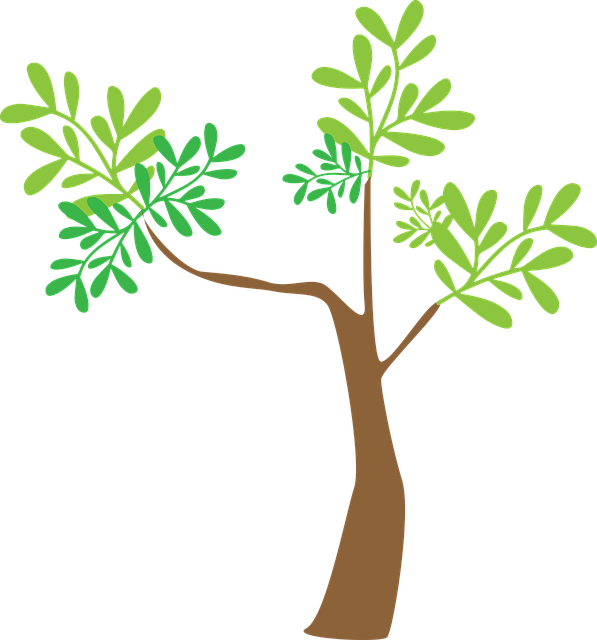 Free download Tree Plant Nature - Free vector graphic on Pixabay free illustration to be edited with GIMP free online image editor