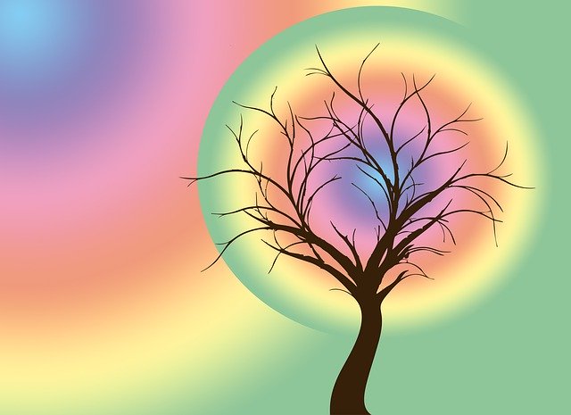 Template Photo Tree Rainbow Colorful for OffiDocs