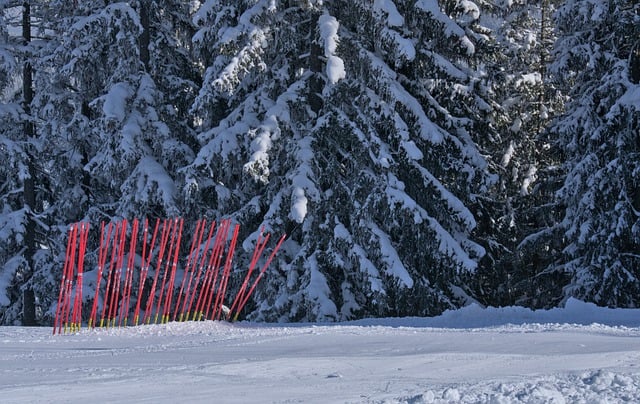 Free download tree rods snow winter contrast free picture to be edited with GIMP free online image editor