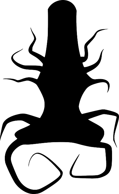 Free download Tree Roots Twisted - Free vector graphic on Pixabay free illustration to be edited with GIMP free online image editor