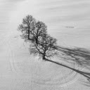 Trees and snow  screen for extension Chrome web store in OffiDocs Chromium