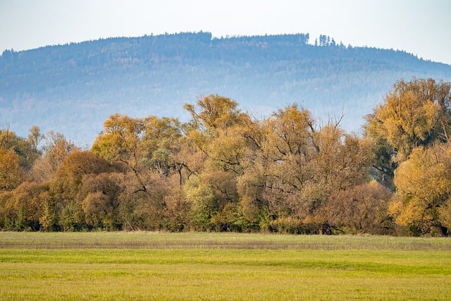 Free download trees autumn mountains background free picture to be edited with GIMP free online image editor