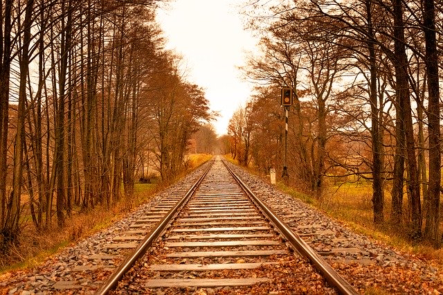 Unduh gratis Trees Autumn Railway - foto atau gambar gratis untuk diedit dengan editor gambar online GIMP