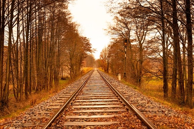 دانلود رایگان Trees Autumn Railway - عکس یا تصویر رایگان قابل ویرایش با ویرایشگر تصویر آنلاین GIMP