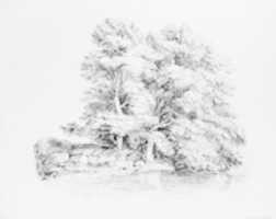 Trees by a Stream GIMP online editor free Free download Trees by a Stream free photo or picture to be edited with GIMP online image editor