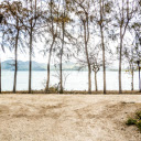 Trees by the lake  screen for extension Chrome web store in OffiDocs Chromium