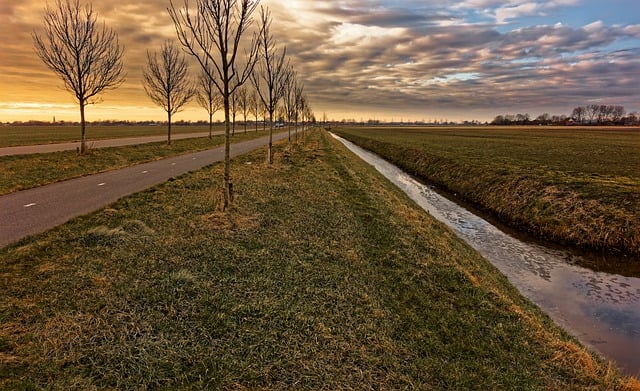 دانلود رایگان درختان خندق عمق افق نور خورشید تصویر رایگان برای ویرایش با ویرایشگر تصویر آنلاین رایگان GIMP
