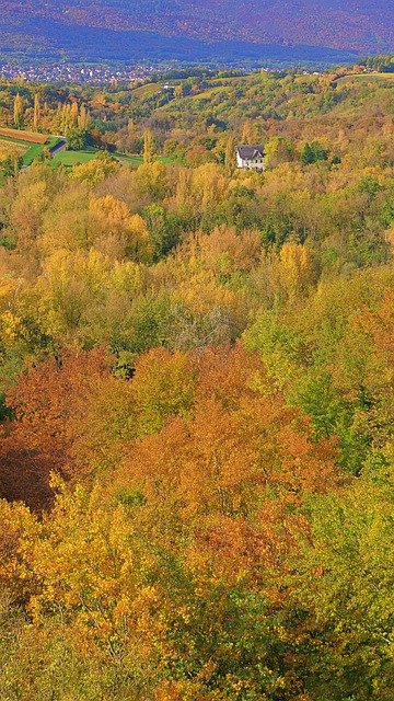 Free download trees falls forest nature free picture to be edited with GIMP free online image editor