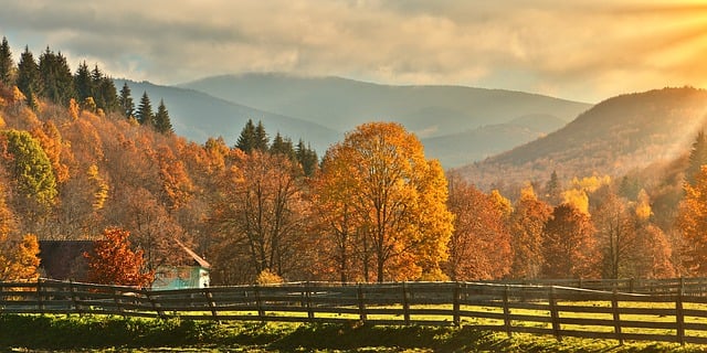 Téléchargement gratuit d'une image gratuite de paysage d'automne de forêt de clôture d'arbres à modifier avec l'éditeur d'images en ligne gratuit GIMP