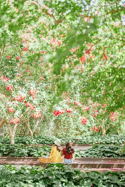 Free download trees flowers gwangju free picture to be edited with GIMP free online image editor