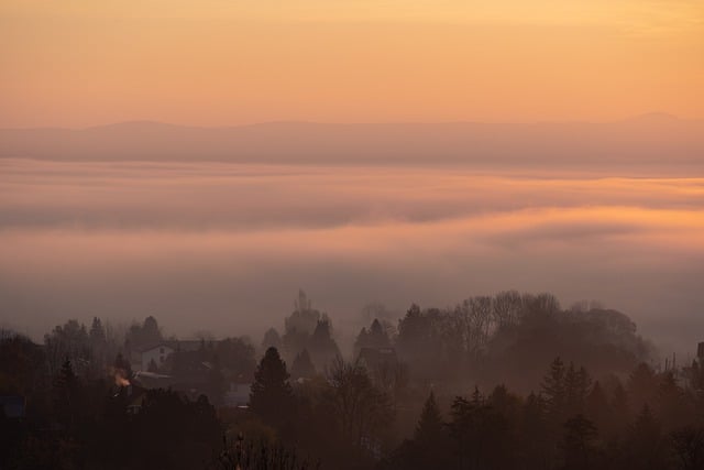 Free download trees fog foggy forest village free picture to be edited with GIMP free online image editor