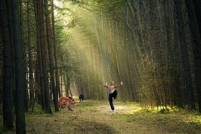 Muat turun percuma gambar seni mempertahankan diri hutan pokok percuma untuk diedit dengan editor imej dalam talian percuma GIMP