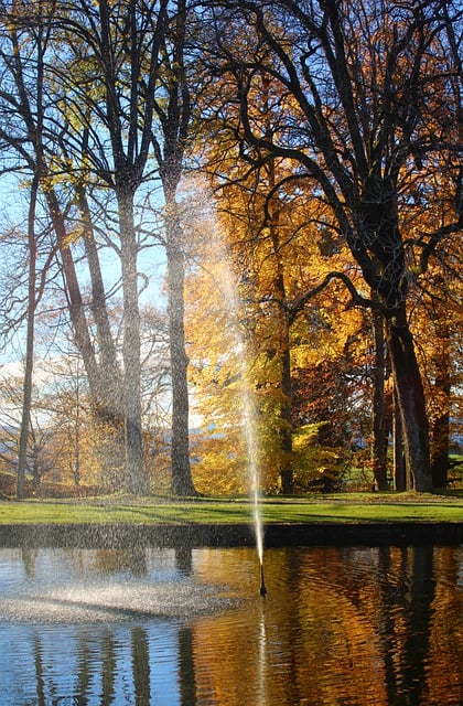 Free download trees fountain fall reflection free picture to be edited with GIMP free online image editor