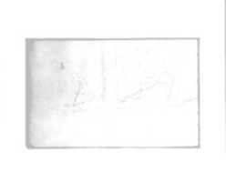 Trees (from Sketchbook) GIMP online editor free Free download Trees (from Sketchbook) free photo or picture to be edited with GIMP online image editor