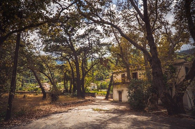 무료 다운로드 Trees House Abandoned - 무료 사진 또는 김프 온라인 이미지 편집기로 편집할 사진