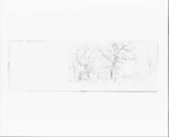 Free download Tree Sketch (from Sketchbook VII) free photo or picture to be edited with GIMP online image editor