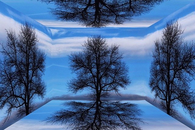 Muat turun percuma Tree Sky Clouds - foto atau gambar percuma untuk diedit dengan editor imej dalam talian GIMP