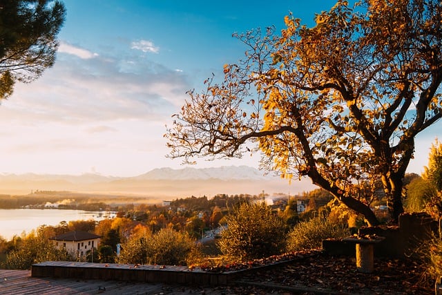 Free download trees lake autumn sunset sunrise free picture to be edited with GIMP free online image editor