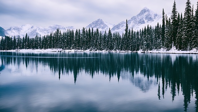 Free download trees lake birch trees snow winter free picture to be edited with GIMP free online image editor