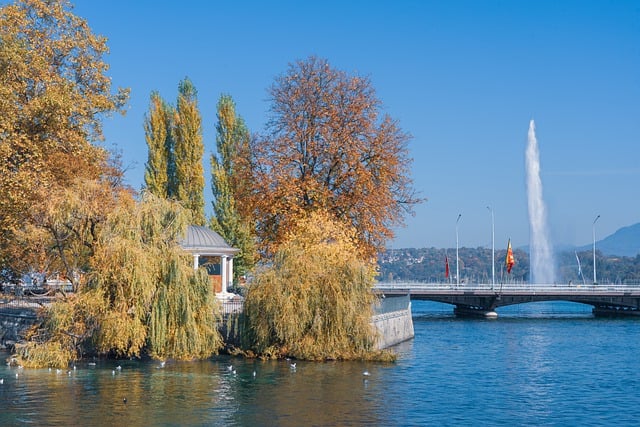 Kostenloser Download von Bäumen, See, Brücke, Herbstfarben, kostenloses Bild zur Bearbeitung mit dem kostenlosen Online-Bildeditor GIMP