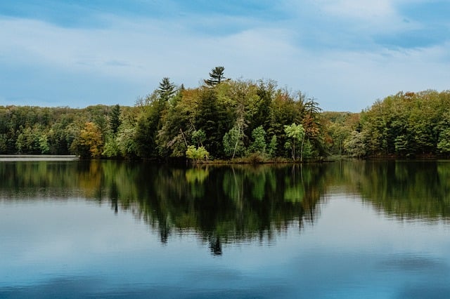 Free download trees lake forest greenery fall free picture to be edited with GIMP free online image editor