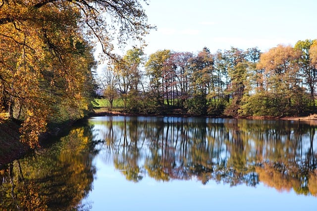 Free download trees lake lakeside free picture to be edited with GIMP free online image editor