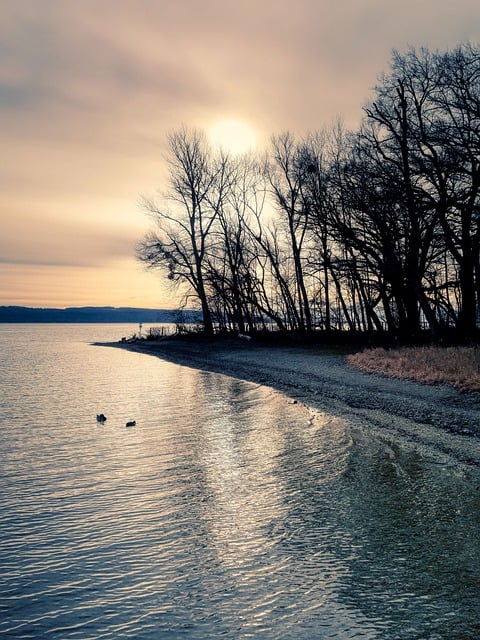 Free download trees lake landscape nature free picture to be edited with GIMP free online image editor