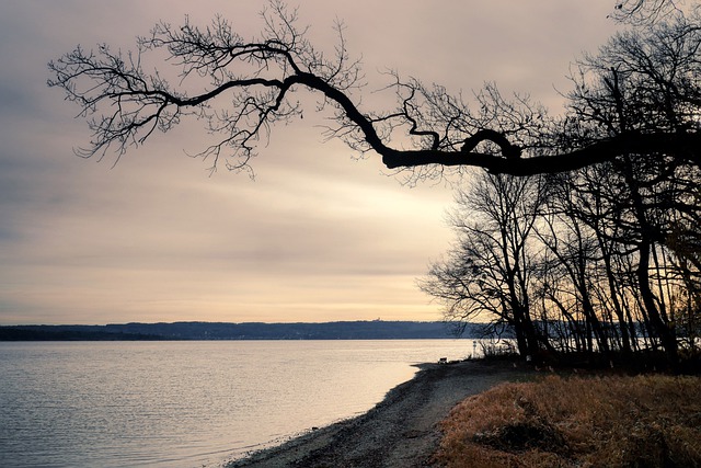 Free download trees lake nature germany bavaria free picture to be edited with GIMP free online image editor