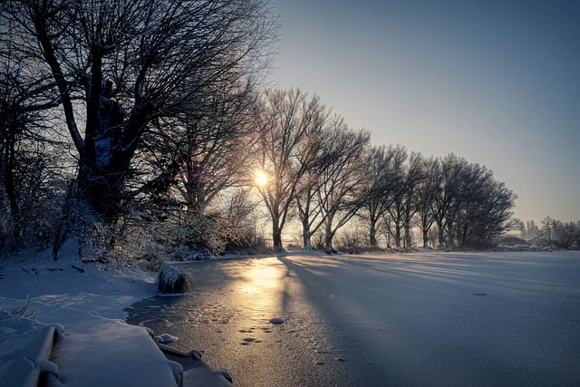 Free download trees lake pond snow light nature free picture to be edited with GIMP free online image editor