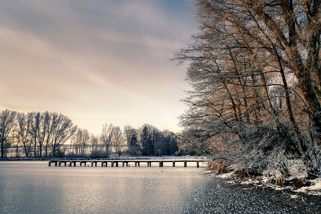 Скачать бесплатно деревья озеро пруд снег зима холод бесплатная картинка для редактирования с помощью бесплатного онлайн-редактора изображений GIMP