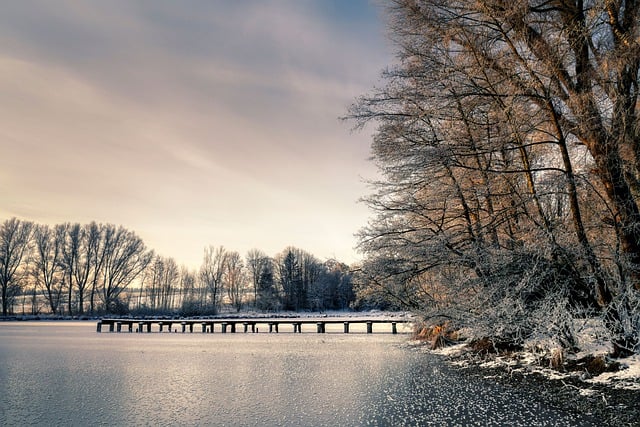 Free download trees lake pond snow winter cold free picture to be edited with GIMP free online image editor