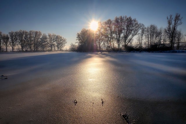 Free download trees lake snow light pond free picture to be edited with GIMP free online image editor