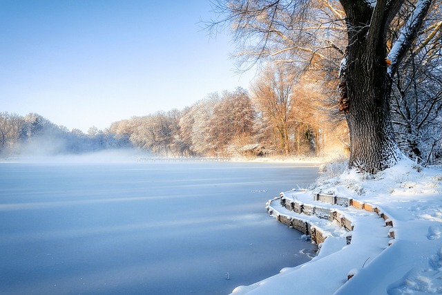Free download trees lake snow pond nature free picture to be edited with GIMP free online image editor