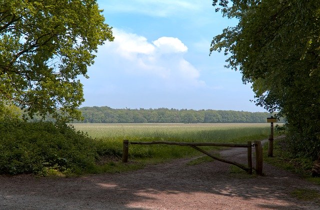 Descărcare gratuită Trees Meadow Landscape - fotografie sau imagini gratuite pentru a fi editate cu editorul de imagini online GIMP