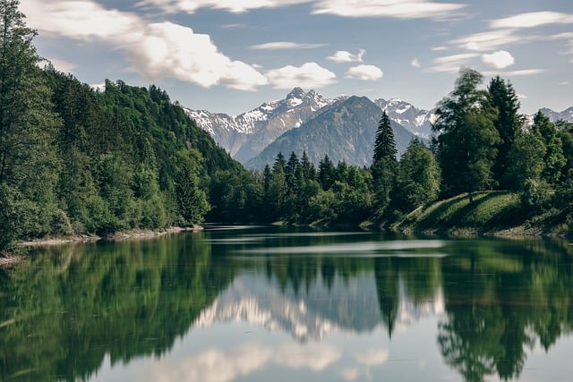 Free download trees mountains alps grass free picture to be edited with GIMP free online image editor
