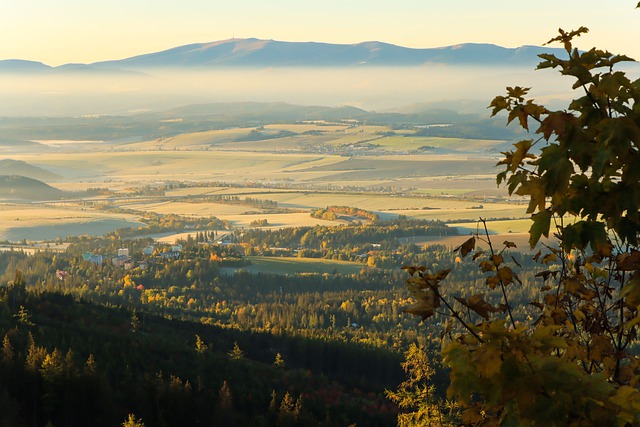 Free download trees mountains fields forest free picture to be edited with GIMP free online image editor
