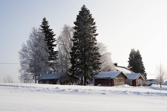 Free download trees nature landscape snow winter free picture to be edited with GIMP free online image editor