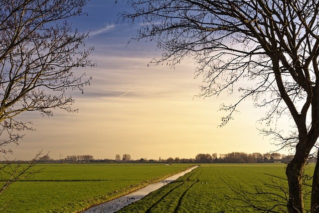 Free download trees pasture sunset frame horizon free picture to be edited with GIMP free online image editor