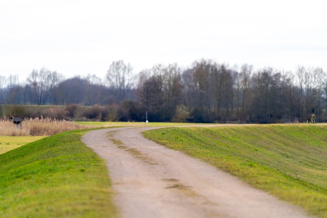 Free download trees path hike dam grass nature free picture to be edited with GIMP free online image editor