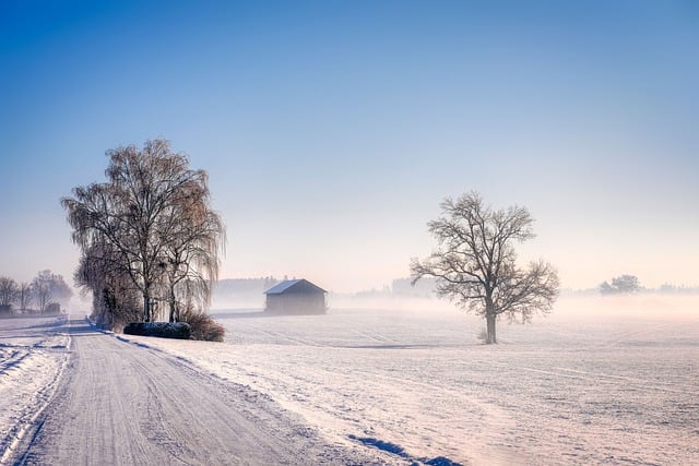 Free download trees path hut snow fog frost free picture to be edited with GIMP free online image editor
