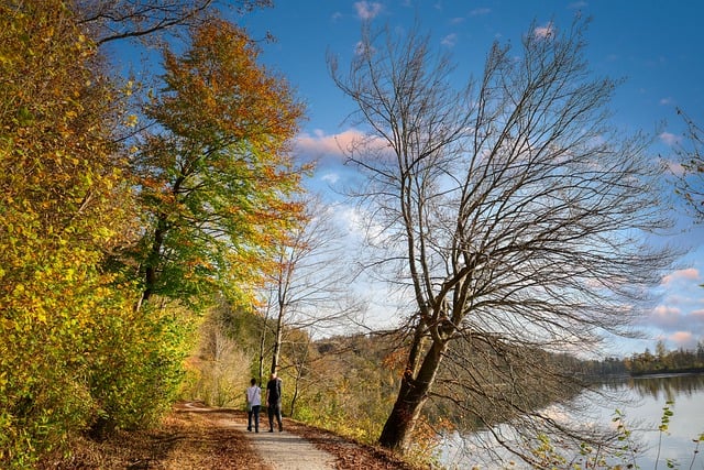Free download trees path walking people forest free picture to be edited with GIMP free online image editor